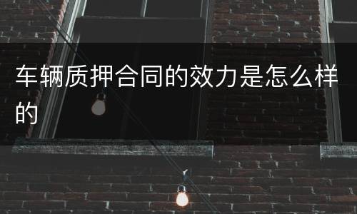 车辆质押合同的效力是怎么样的