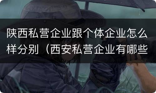 陕西私营企业跟个体企业怎么样分别（西安私营企业有哪些）