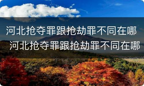 河北抢夺罪跟抢劫罪不同在哪 河北抢夺罪跟抢劫罪不同在哪查