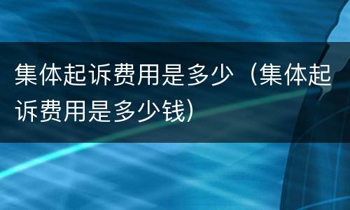 集体起诉费用是多少（集体起诉费用是多少钱）