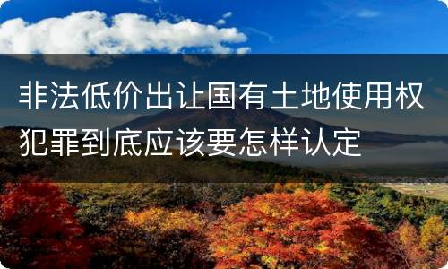 非法低价出让国有土地使用权犯罪到底应该要怎样认定