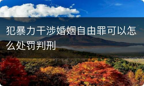 犯暴力干涉婚姻自由罪可以怎么处罚判刑