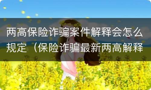 两高保险诈骗案件解释会怎么规定（保险诈骗最新两高解释）