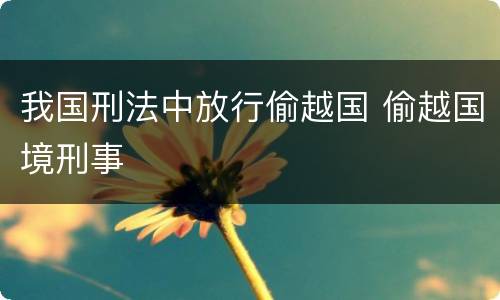 我国刑法中放行偷越国 偷越国境刑事