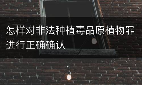 怎样对非法种植毒品原植物罪进行正确确认