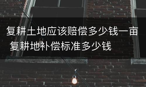 复耕土地应该赔偿多少钱一亩 复耕地补偿标准多少钱