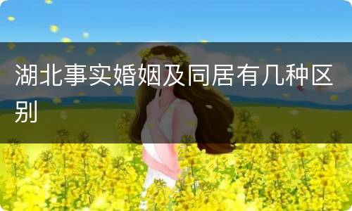 湖北事实婚姻及同居有几种区别