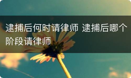 逮捕后何时请律师 逮捕后哪个阶段请律师