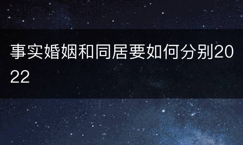 事实婚姻和同居要如何分别2022