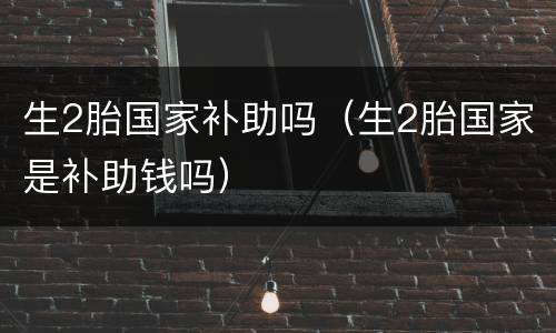 生2胎国家补助吗（生2胎国家是补助钱吗）