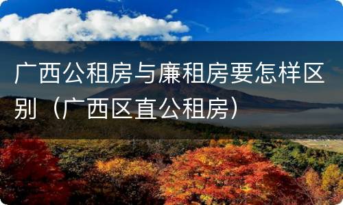 广西公租房与廉租房要怎样区别（广西区直公租房）