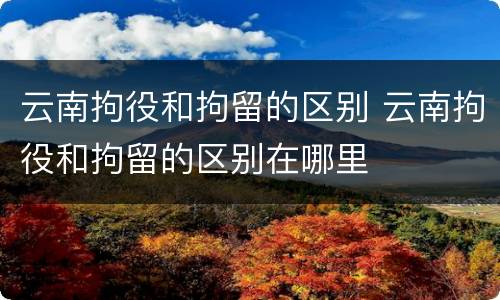 云南拘役和拘留的区别 云南拘役和拘留的区别在哪里