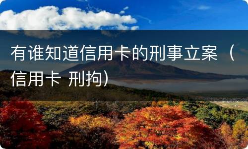 有谁知道信用卡的刑事立案（信用卡 刑拘）