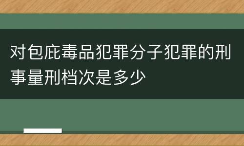 对包庇毒品犯罪分子犯罪的刑事量刑档次是多少