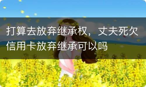 打算去放弃继承权，丈夫死欠信用卡放弃继承可以吗