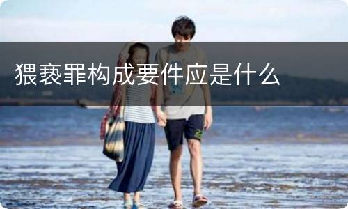 猥亵罪构成要件应是什么