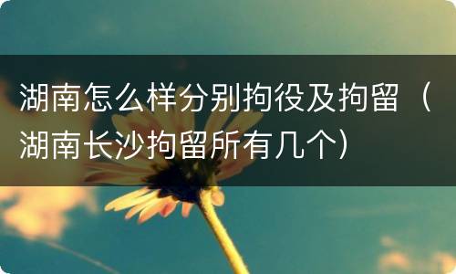 湖南怎么样分别拘役及拘留（湖南长沙拘留所有几个）