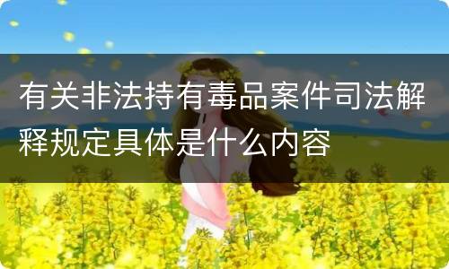 有关非法持有毒品案件司法解释规定具体是什么内容