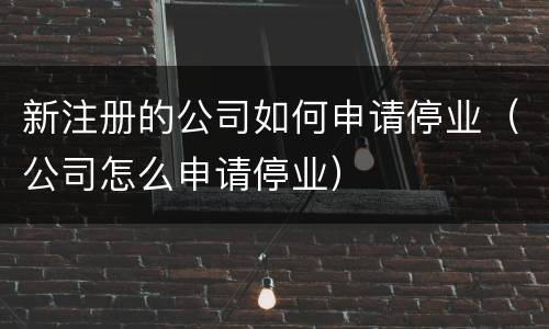 新注册的公司如何申请停业（公司怎么申请停业）