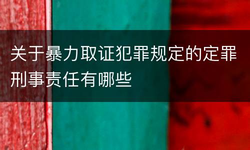 关于暴力取证犯罪规定的定罪刑事责任有哪些