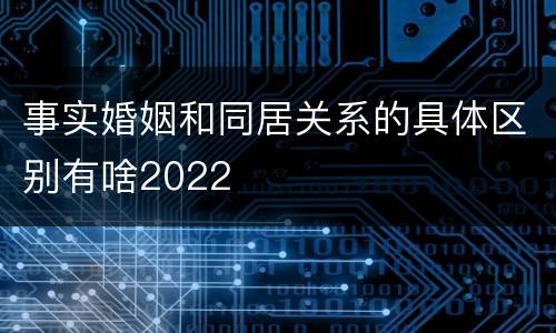 事实婚姻和同居关系的具体区别有啥2022