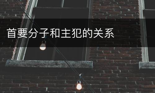 首要分子和主犯的关系