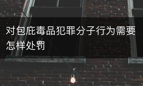 对包庇毒品犯罪分子行为需要怎样处罚