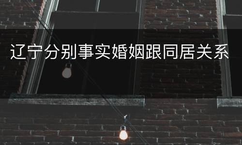 辽宁分别事实婚姻跟同居关系