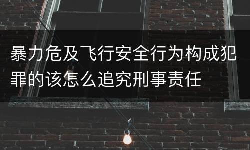 暴力危及飞行安全行为构成犯罪的该怎么追究刑事责任
