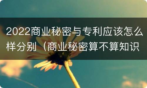 2022商业秘密与专利应该怎么样分别（商业秘密算不算知识产权）