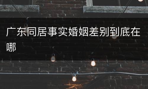 广东同居事实婚姻差别到底在哪