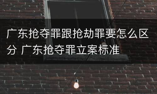 广东抢夺罪跟抢劫罪要怎么区分 广东抢夺罪立案标准