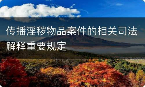 传播淫秽物品案件的相关司法解释重要规定
