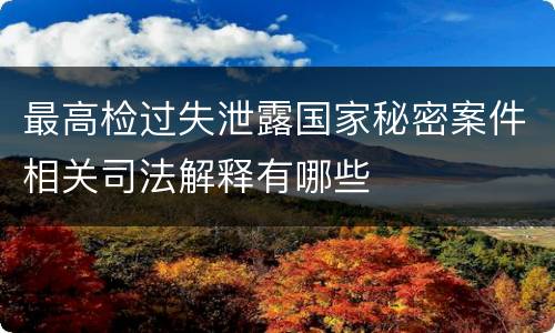 最高检过失泄露国家秘密案件相关司法解释有哪些
