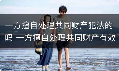 一方擅自处理共同财产犯法的吗 一方擅自处理共同财产有效吗