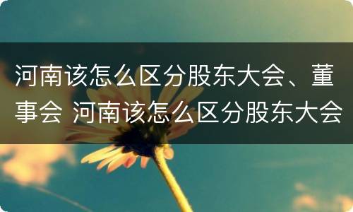 河南该怎么区分股东大会、董事会 河南该怎么区分股东大会,董事会和董事会