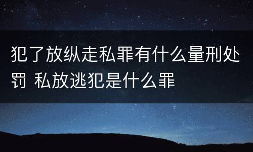 犯了放纵走私罪有什么量刑处罚 私放逃犯是什么罪