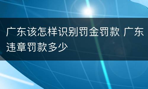 广东该怎样识别罚金罚款 广东违章罚款多少