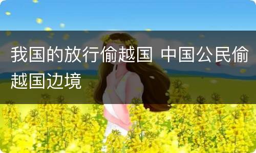我国的放行偷越国 中国公民偷越国边境