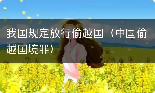 我国规定放行偷越国（中国偷越国境罪）