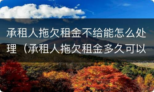 承租人拖欠租金不给能怎么处理（承租人拖欠租金多久可以解除合同）