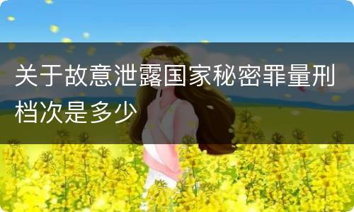 关于故意泄露国家秘密罪量刑档次是多少
