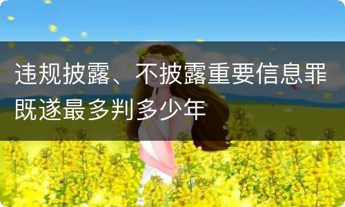 违规披露、不披露重要信息罪既遂最多判多少年
