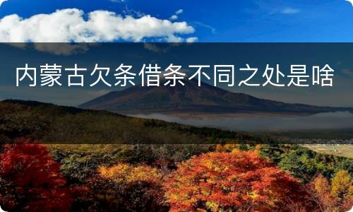 内蒙古欠条借条不同之处是啥