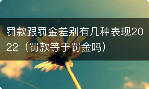 罚款跟罚金差别有几种表现2022（罚款等于罚金吗）