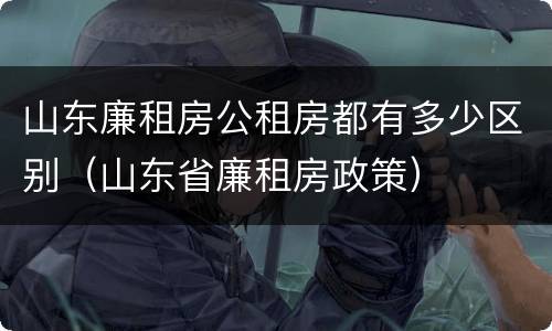 山东廉租房公租房都有多少区别（山东省廉租房政策）