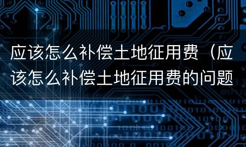 应该怎么补偿土地征用费（应该怎么补偿土地征用费的问题）