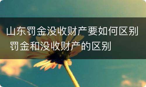 山东罚金没收财产要如何区别 罚金和没收财产的区别