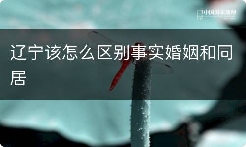 辽宁该怎么区别事实婚姻和同居