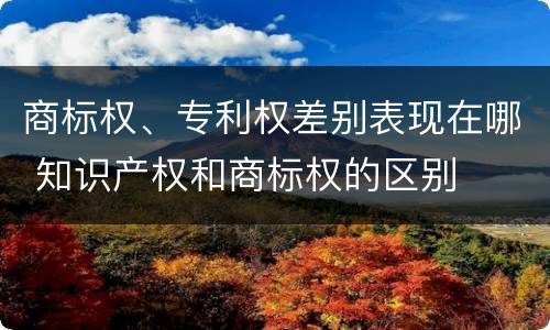 商标权、专利权差别表现在哪 知识产权和商标权的区别